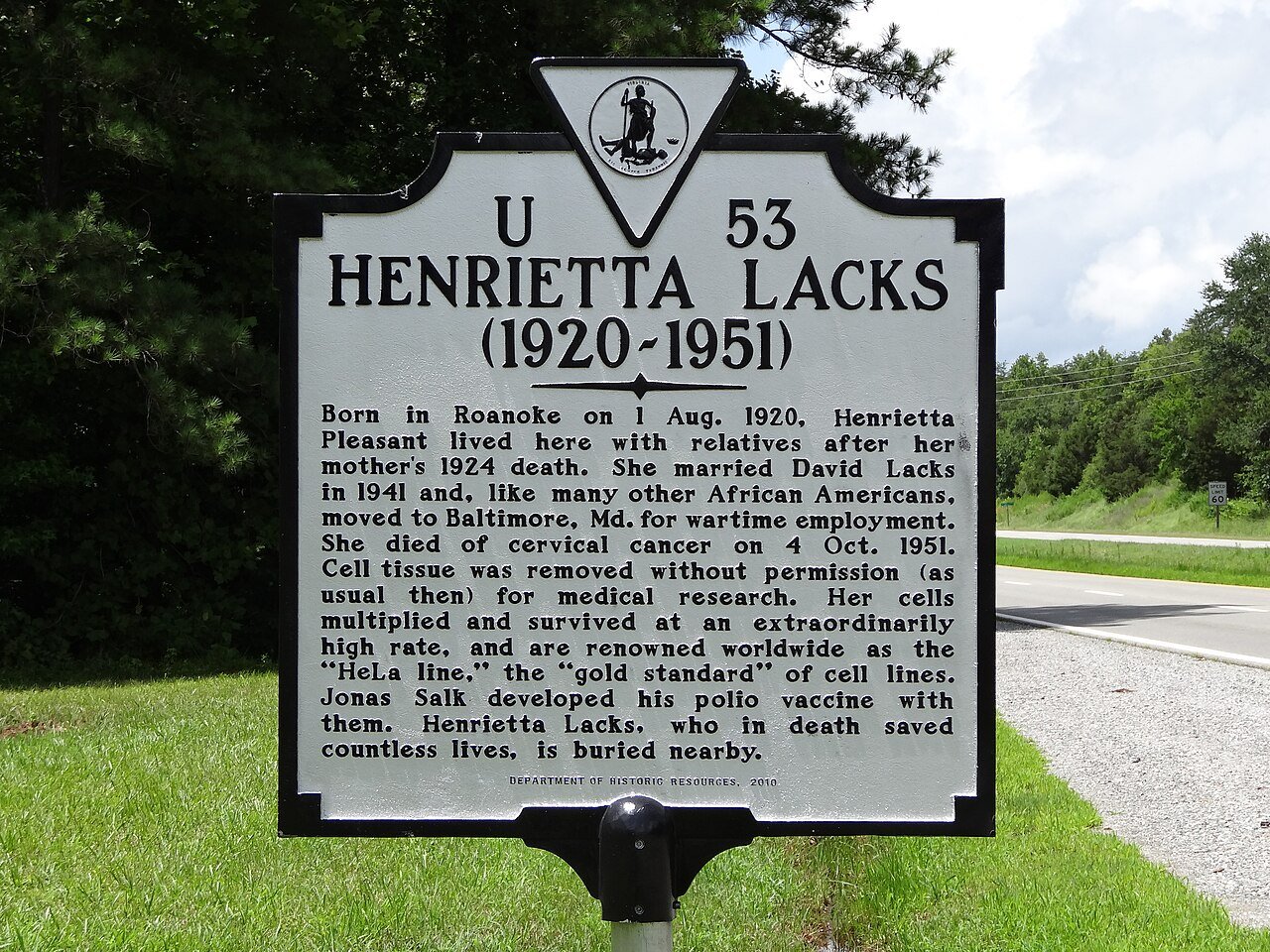 Henrietta Lacks Henrita Lacks